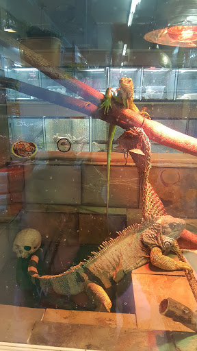 Pet Store «A to Z Pets», reviews and photos, 16010 SE Division St, Portland, OR 97236, USA