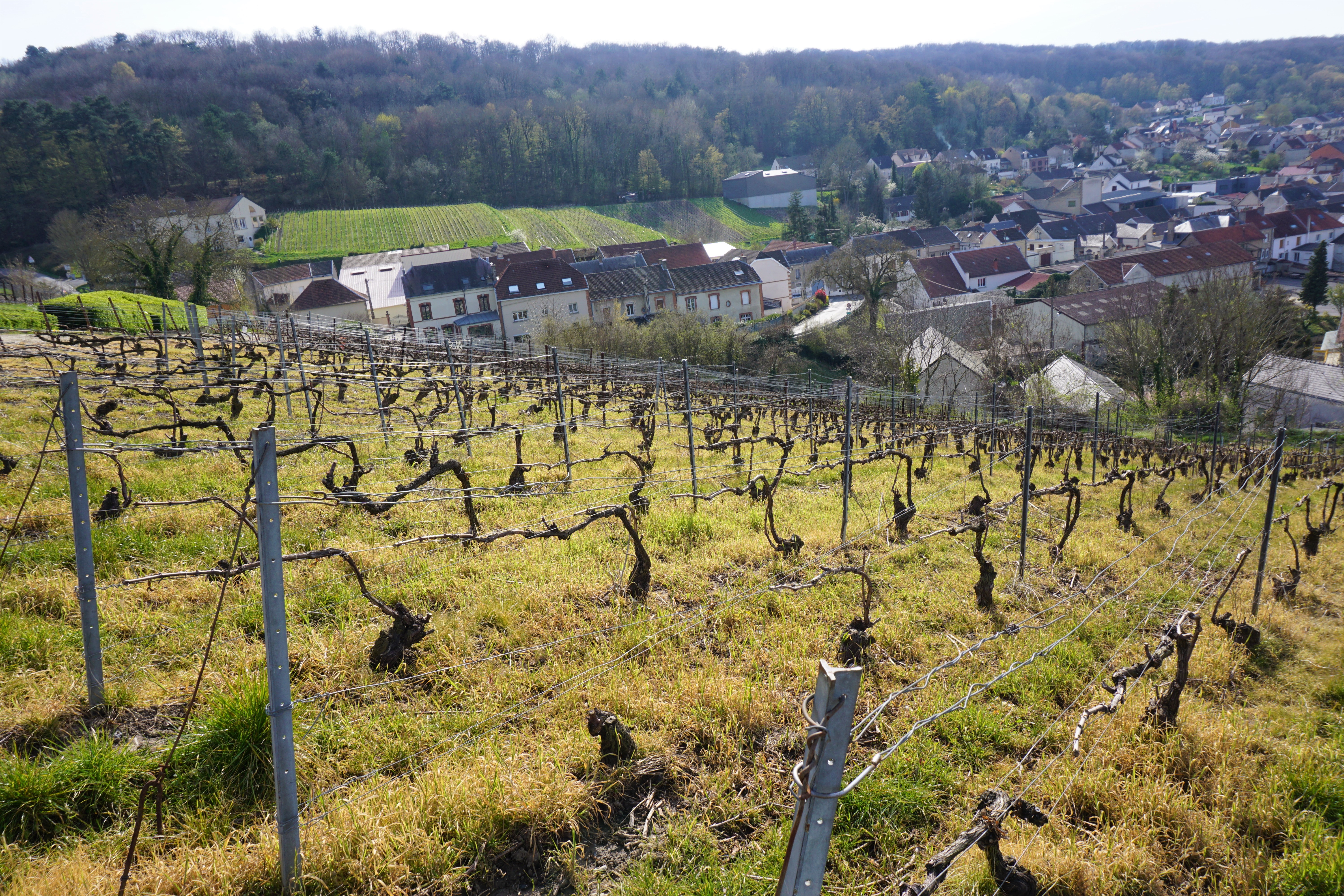 Photo n° 2 de l'avis de Gasper.l fait le 07/04/2023 à 12:31