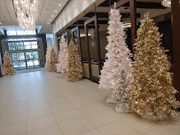 PRO Club Bellevue - Photo 9 - Car repair in Bellevue, WA, Bellevue