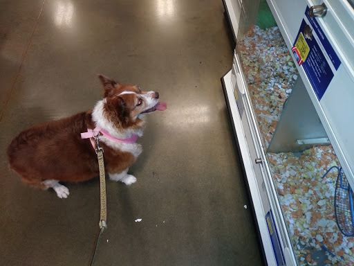 Pet Supply Store «PetSmart», reviews and photos, 1791 Oconee Connector Suite 130, Athens, GA 30606, USA