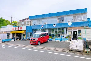 田中金魚 image