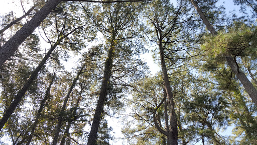 Tourist Attraction «Monastery Of The Holy Spirit», reviews and photos, 2625 GA-212, Conyers, GA 30094, USA