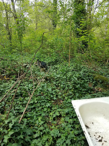 Park «Sacajawea Park», reviews and photos, 1401 S Dash Point Rd, Federal Way, WA 98003, USA