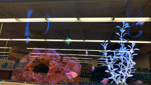 Pet Supply Store «Petco Animal Supplies», reviews and photos, 1121 5th St, Miami Beach, FL 33139, USA