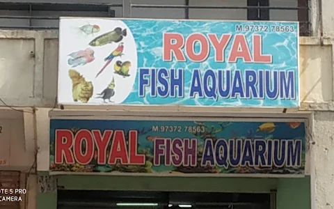 Royal Fish Aquarium Paldi image