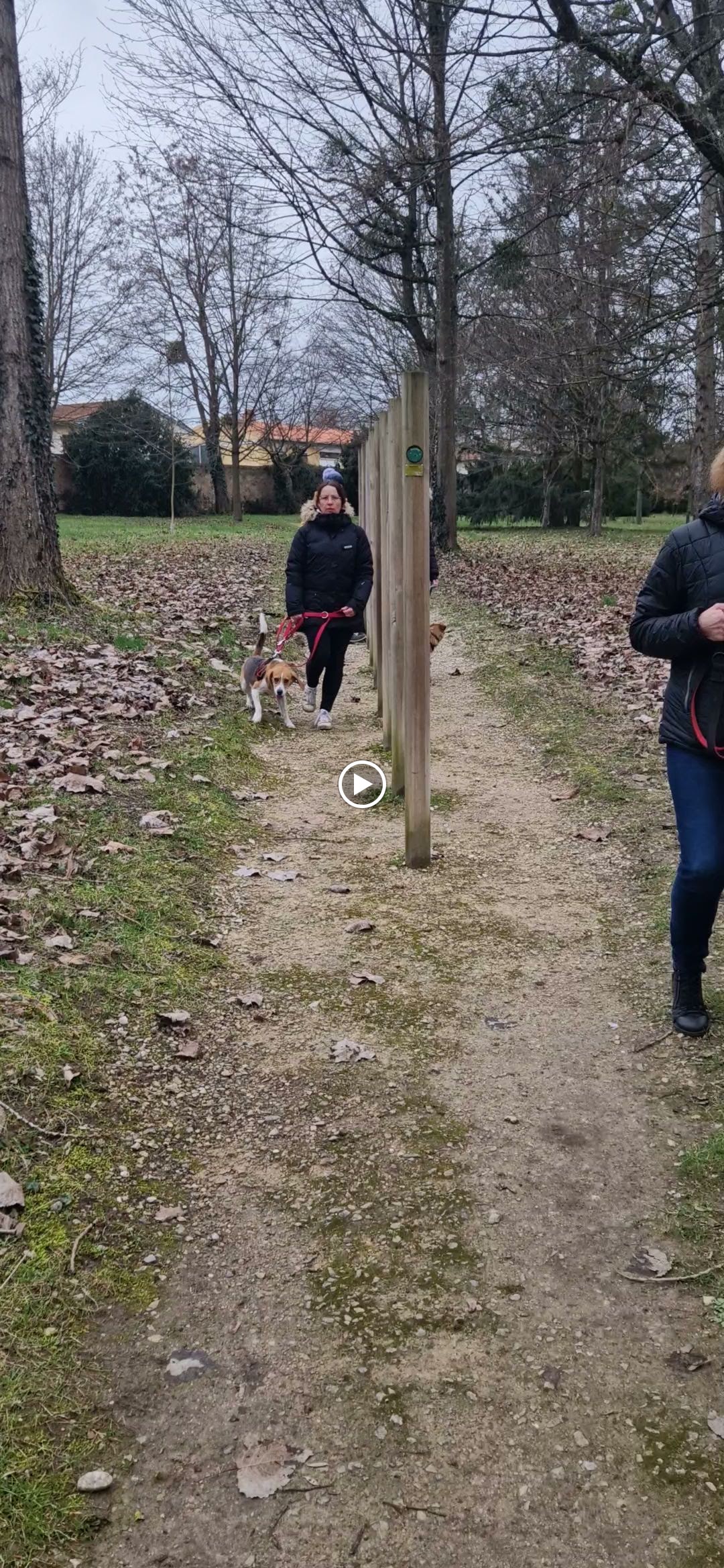 Photo n° 16 de l'avis de Joël.O fait le 20/02/2024 à 11:54