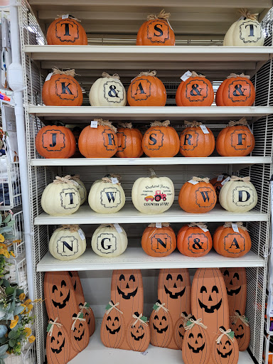 Home Goods Store «Christmas Tree Shops», reviews and photos, 130 E Altamonte Dr #1300, Altamonte Springs, FL 32701, USA