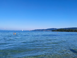 Foto von Port d'Yvonand Beach - beliebter Ort unter Entspannungskennern