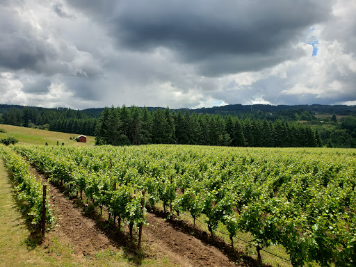 Vineyard «Ponzi Winery», reviews and photos, 19500 SW Mountain Home Rd, Sherwood, OR 97140, USA