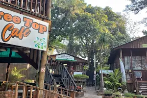 Tree Top Café image