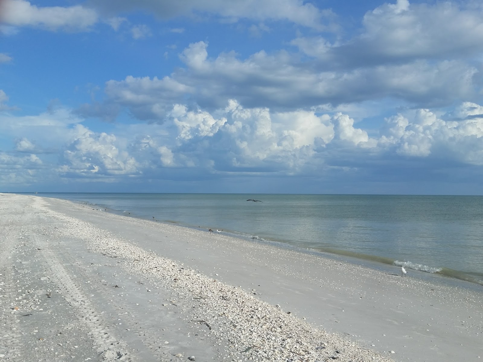 Sanibel beach'in fotoğrafı düz ve uzun ile birlikte