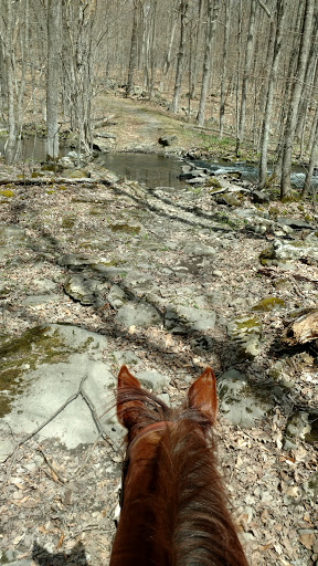 State Park «Highland Lakes State Park», reviews and photos, 55-223 Tamms Rd, Middletown, NY 10941, USA