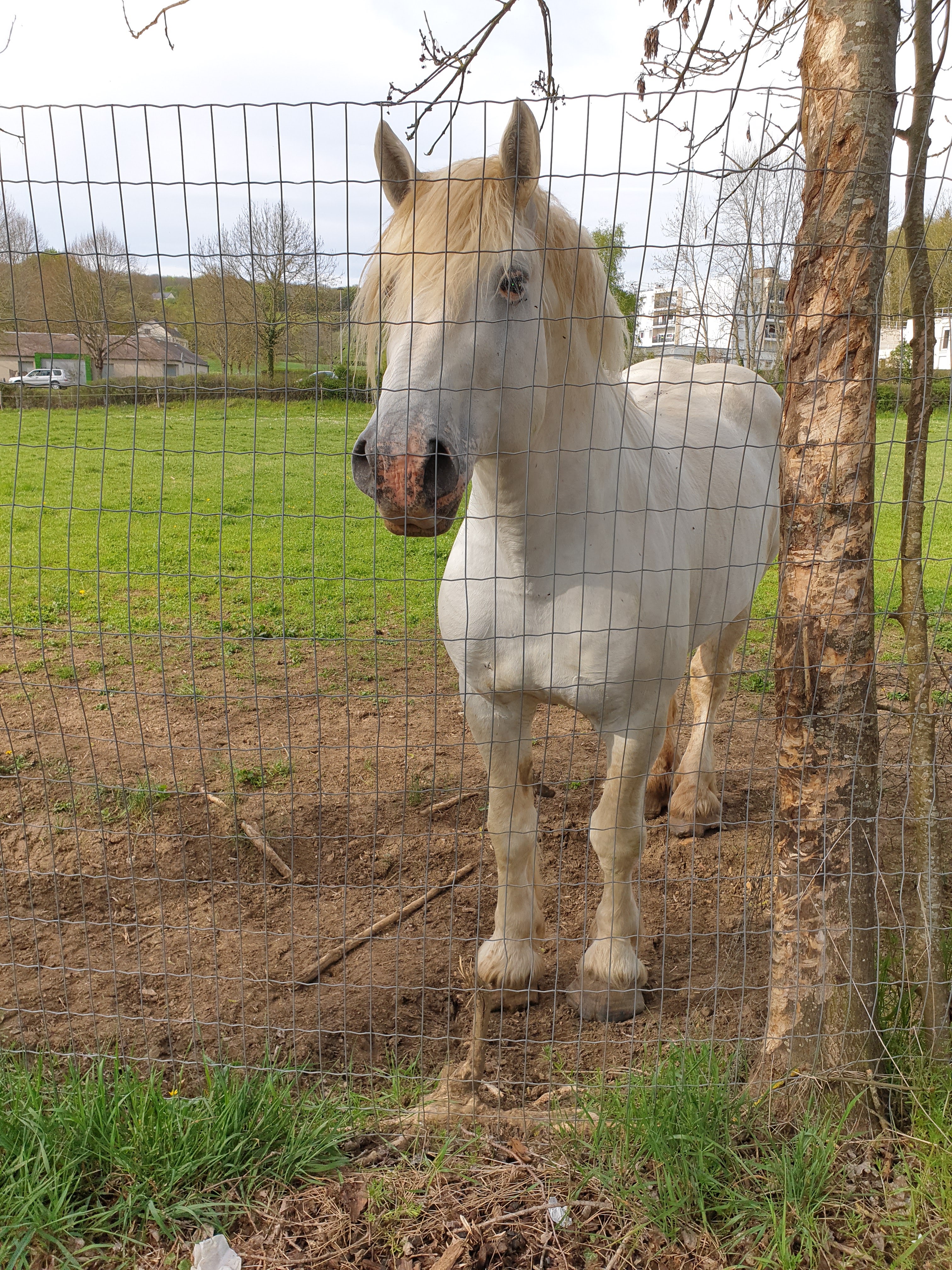 Photo n° 10 de l'avis de Cynthia.a fait le 23/04/2019 à 23:37
