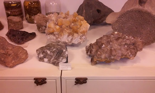 Natural History Museum «Natural History Society of Maryland», reviews and photos, 6908 Belair Rd, Baltimore, MD 21206, USA