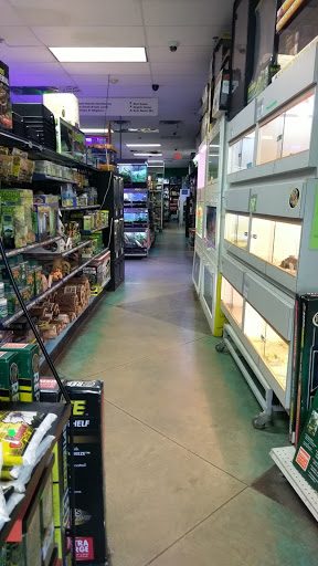 Pet Store «Zoo Creatures Pet Store», reviews and photos, 149 Plaistow Rd, Plaistow, NH 03865, USA