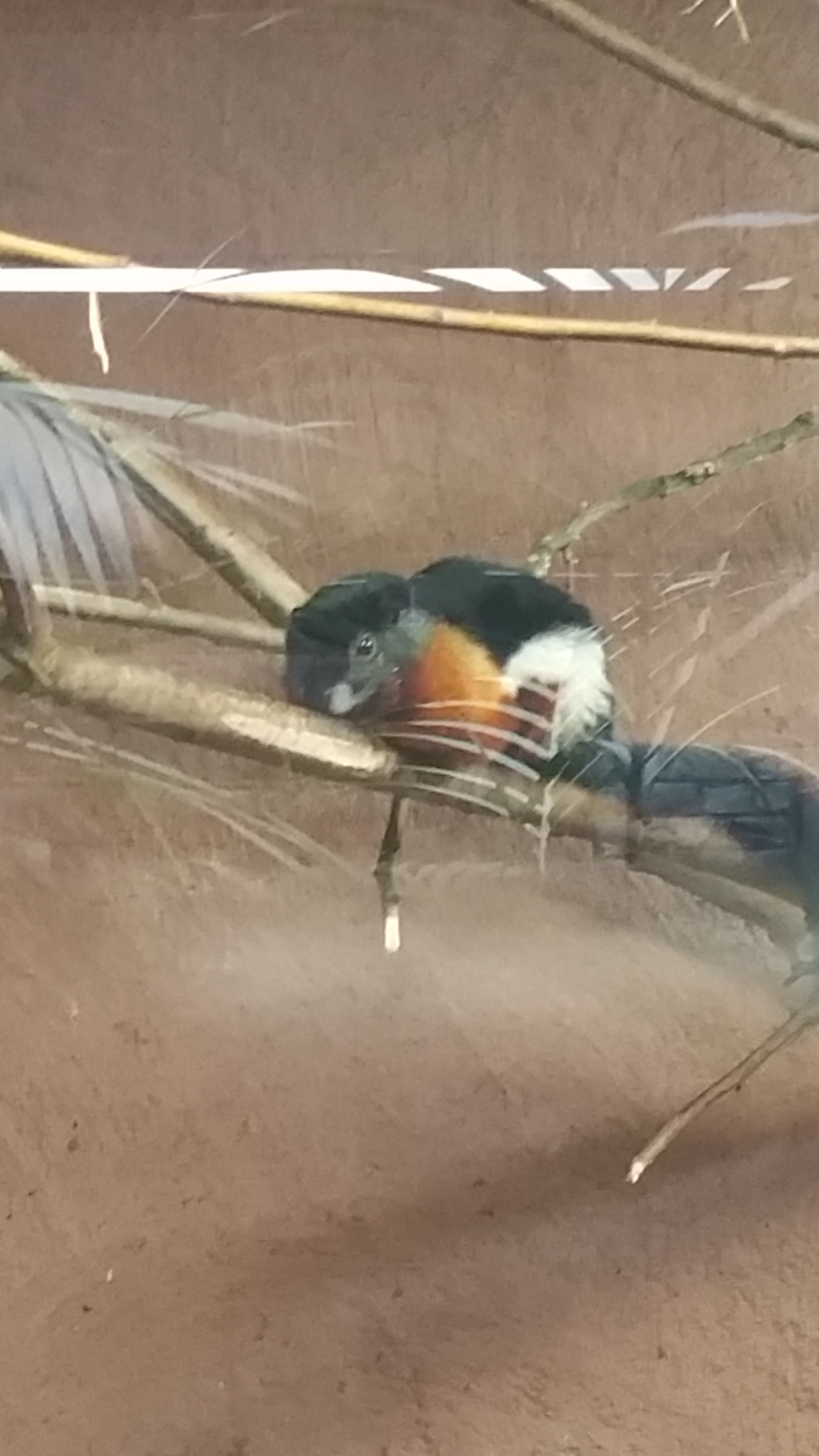 Photo n° 1 de l'avis de Arti.h fait le 19/04/2019 à 13:02