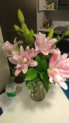 Florist «Chantilly Flowers», reviews and photos, 14514 Lee Rd E, Chantilly, VA 20151, USA