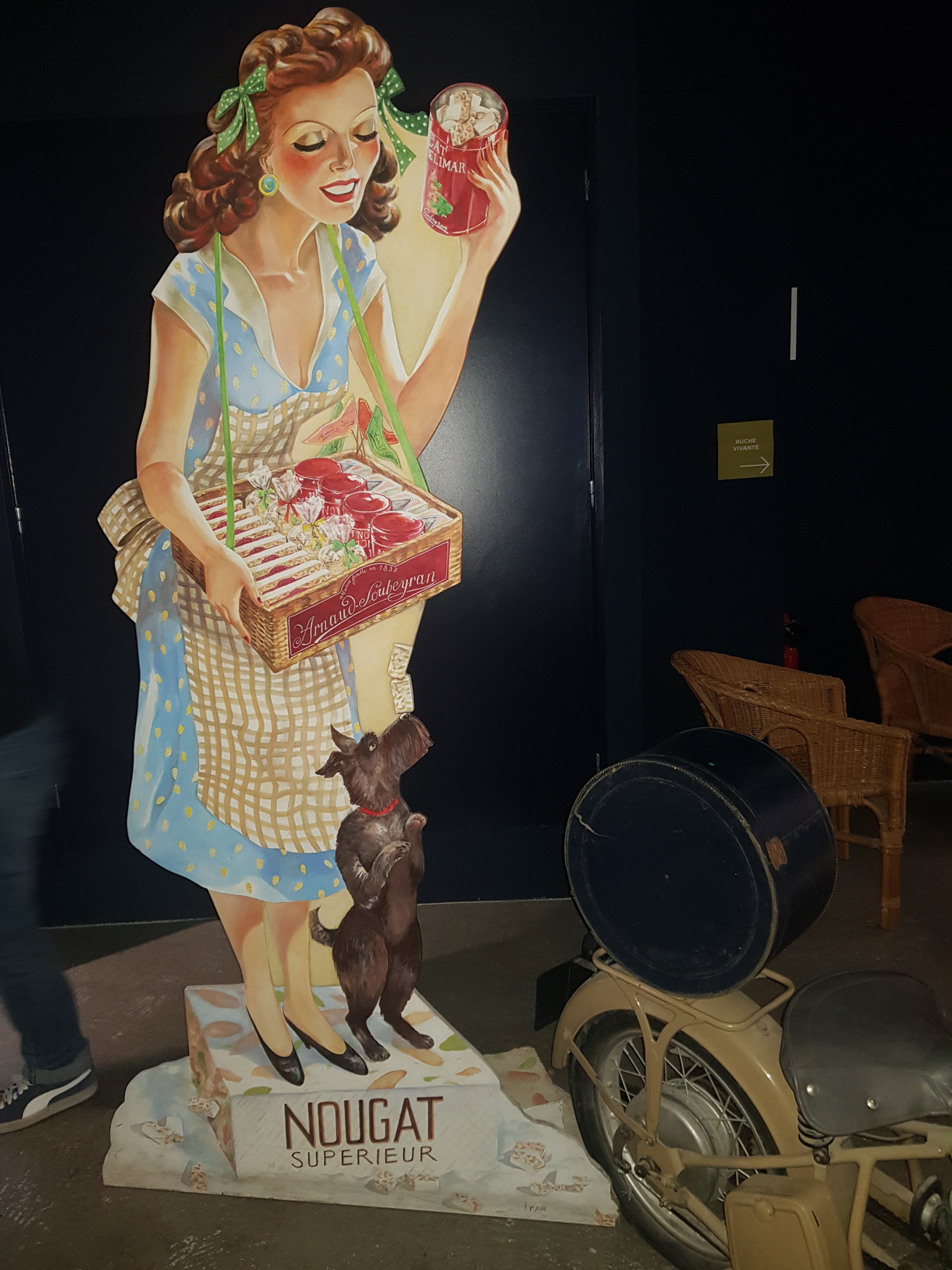 Photo n° 18 de l'avis de P. fait le 04/05/2019 à 10:56