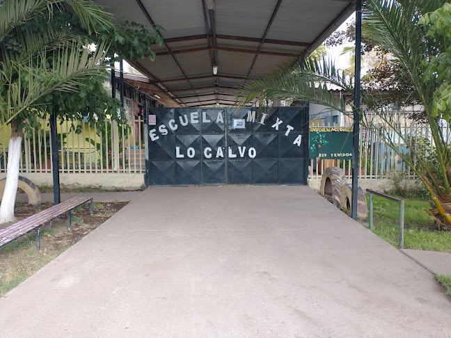 Opiniones de Escuela Mixta Lo Calvo en San Esteban - Escuela