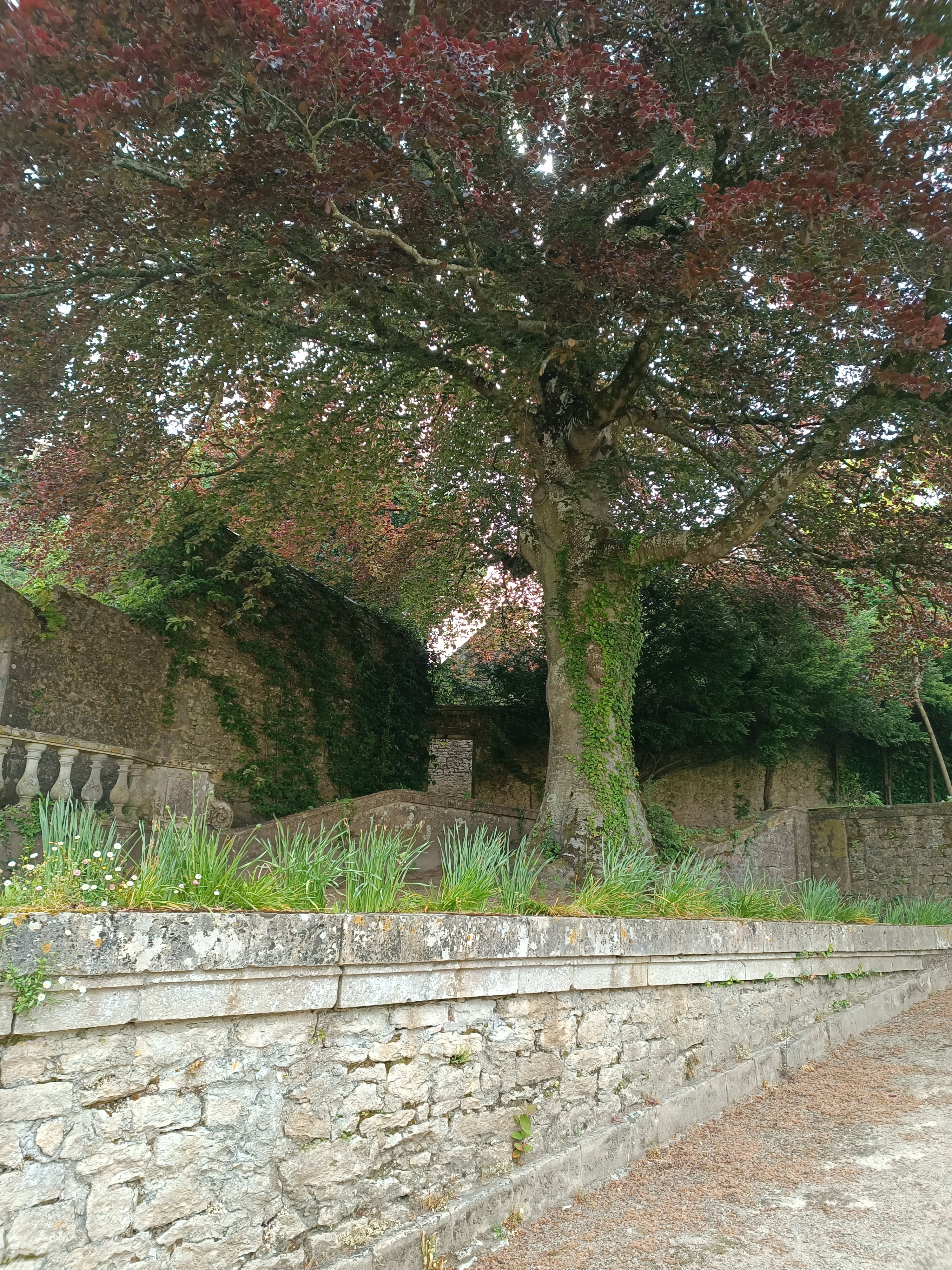 Photo n° 9 de l'avis de Guillaume.a fait le 20/05/2023 à 11:59