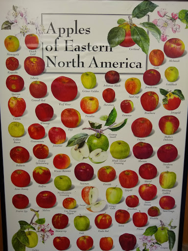 Orchard «Curtis Orchard & Pumpkin Patch», reviews and photos, 3902 S Duncan Rd, Champaign, IL 61822, USA