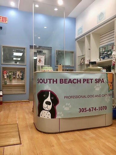 Pet Store «South Beach Pet Shop», reviews and photos, 634 6th St, Miami Beach, FL 33139, USA