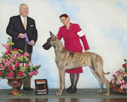 Insurance Agency «Embrace Pet Insurance», reviews and photos