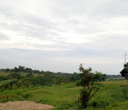 Taman Griya photo