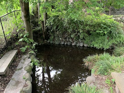 大清水(西清水)