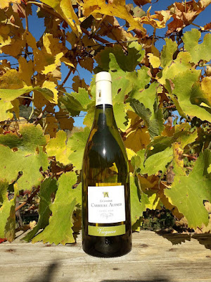 Domaine Carrière Audier à Vieussan