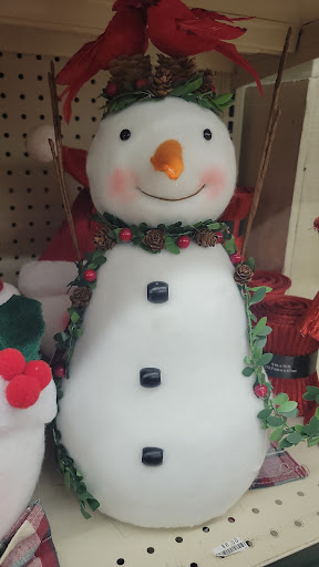 Discount Store «Big Lots», reviews and photos, 308 FL-312, St Augustine, FL 32086, USA