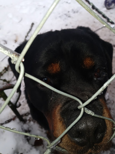 Pet Store «All About Pets LLC», reviews and photos, 52567 Columbia River Hwy, Scappoose, OR 97056, USA