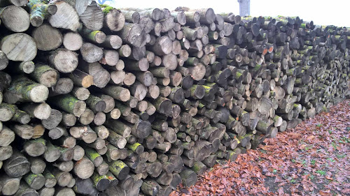 Magasin de bois de chauffage AUCOUTURIER - Le Bois des Basses Vallées du Loir Rives-du-Loir-en-Anjou