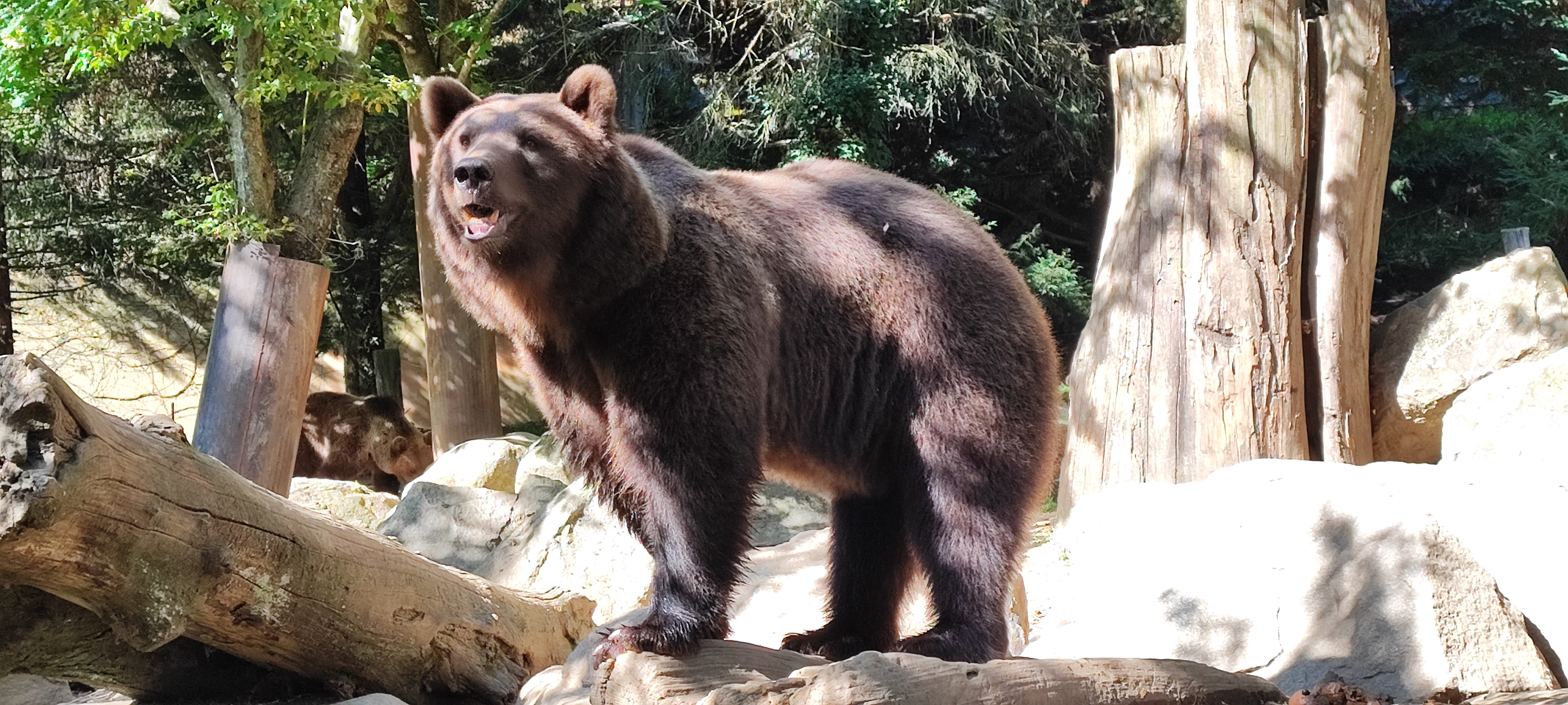 Photo n° 29 de l'avis de Thierry.i fait le 28/09/2023 à 17:40