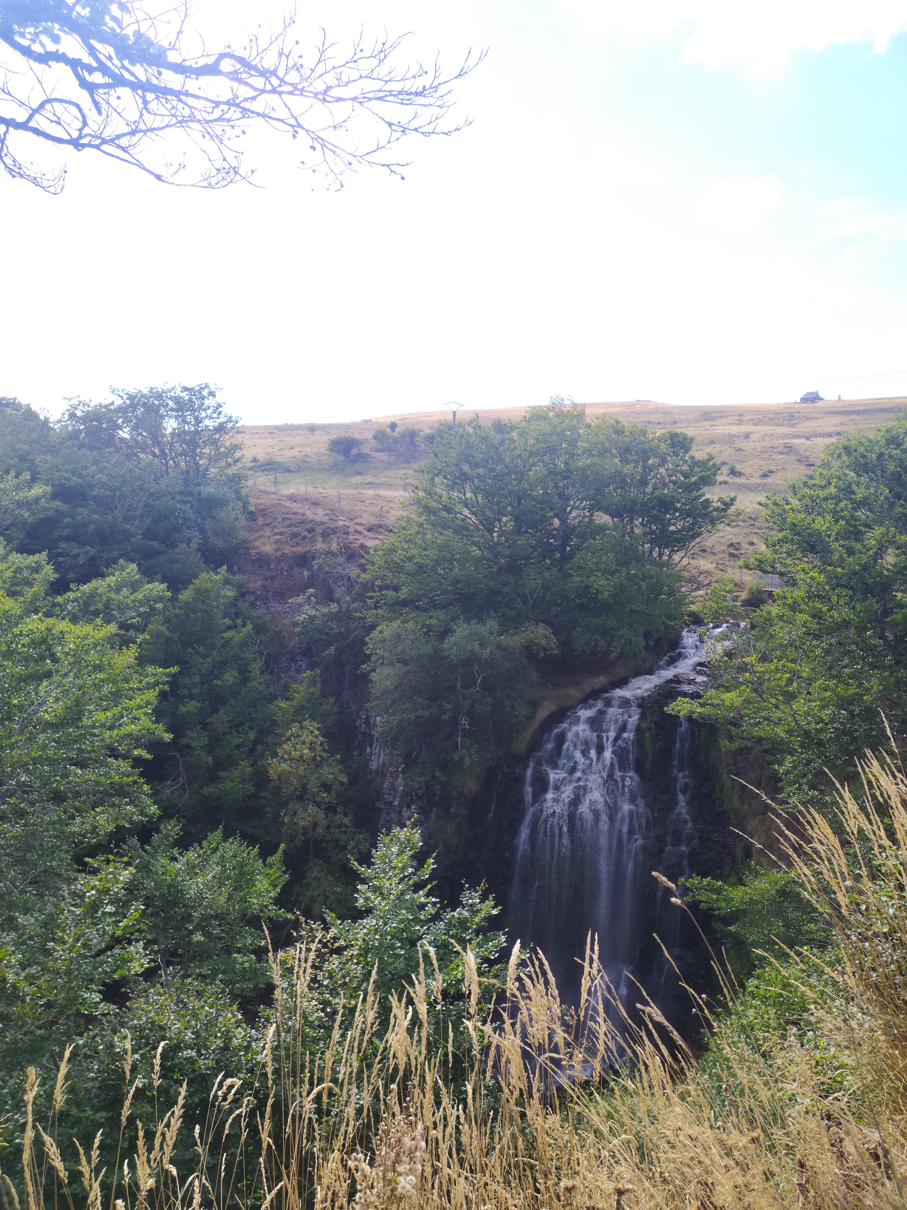 Photo n° 1 de l'avis de Enoo. fait le 28/08/2022 à 17:21