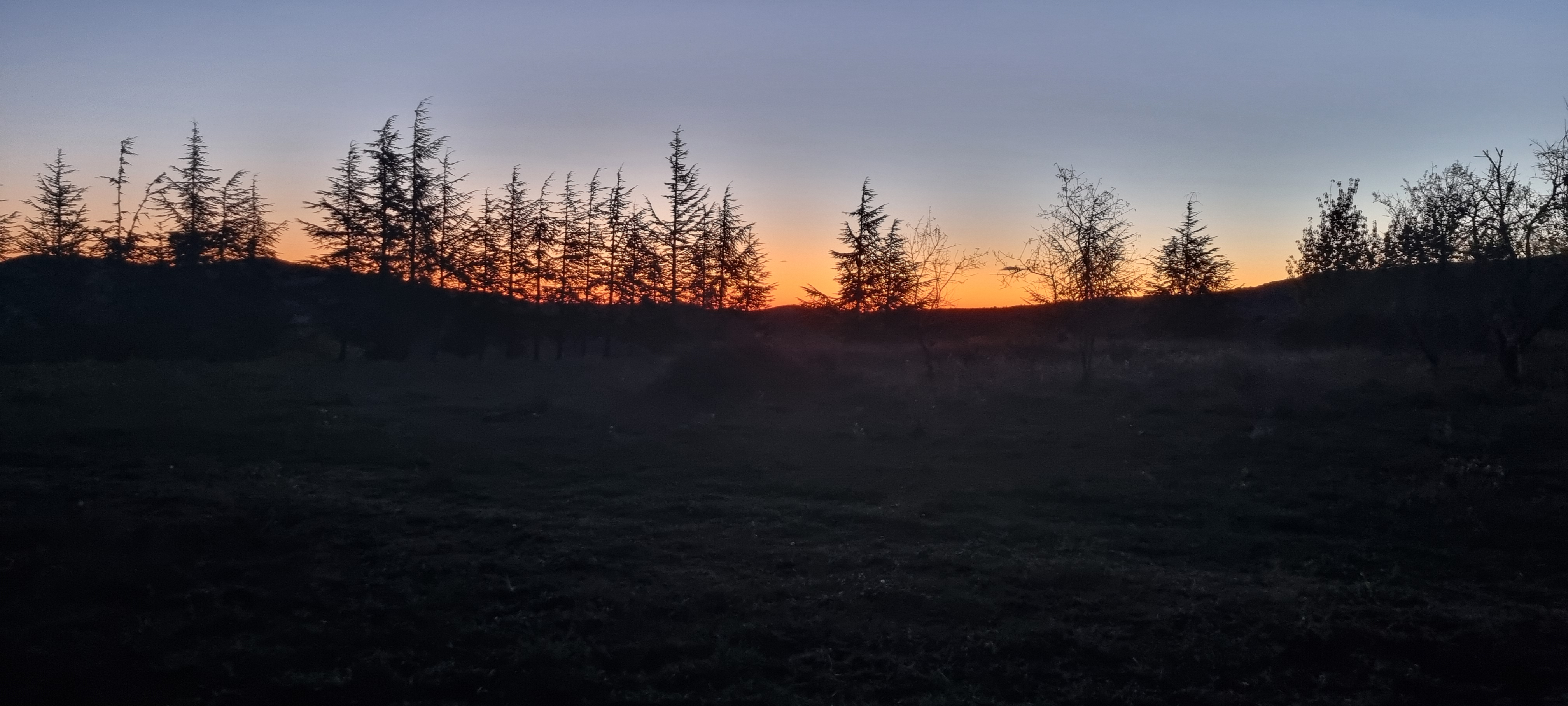 Photo n° 8 de l'avis de Edtih.O fait le 06/11/2023 à 20:21