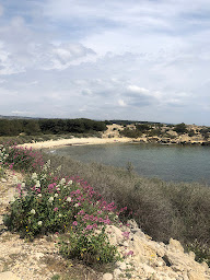 Photo n°32 de La Couronne à Pont-Saint-Esprit ()