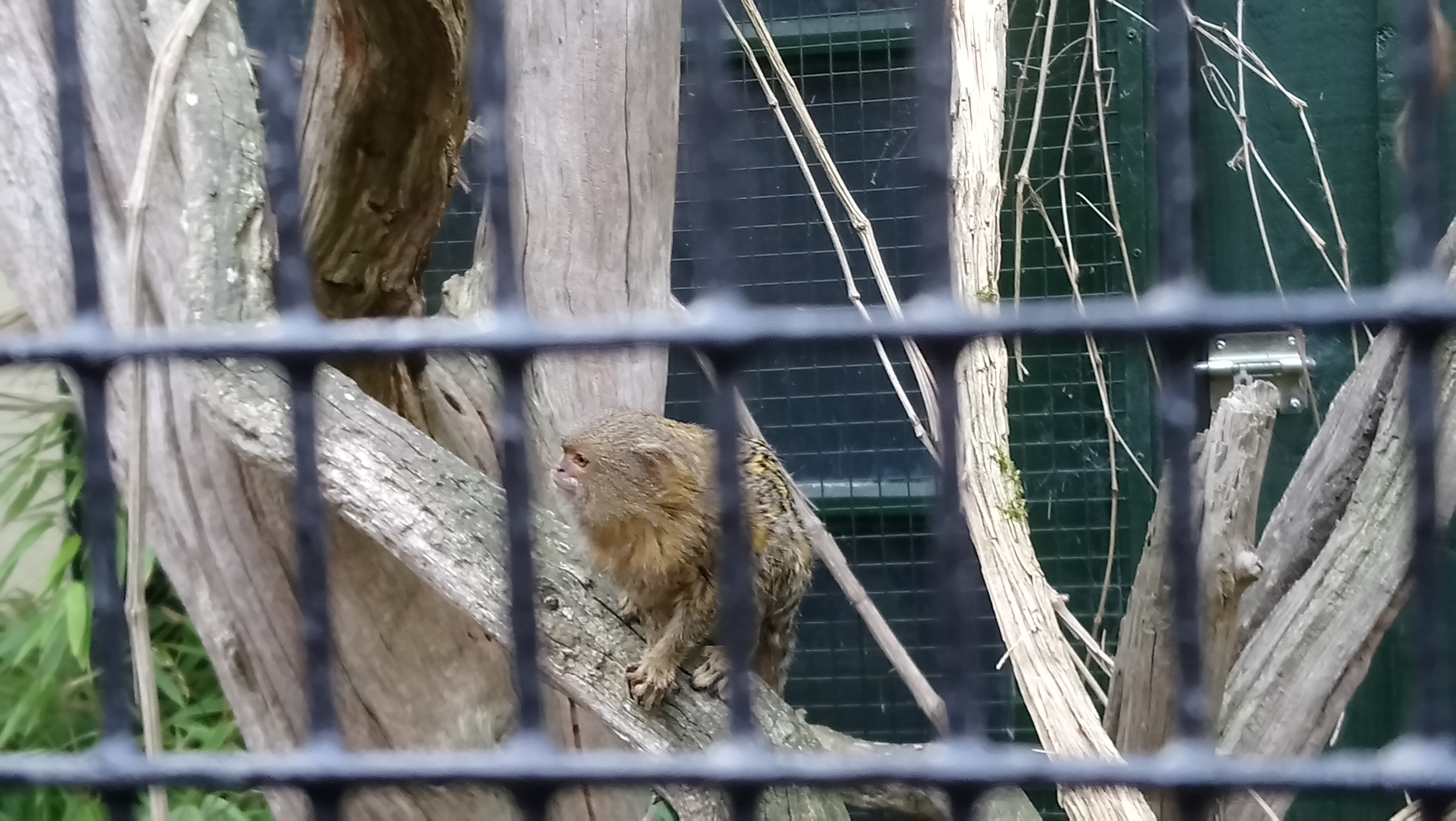 Photo n° 2 de l'avis de Stephanie.r fait le 21/10/2018 à 05:17