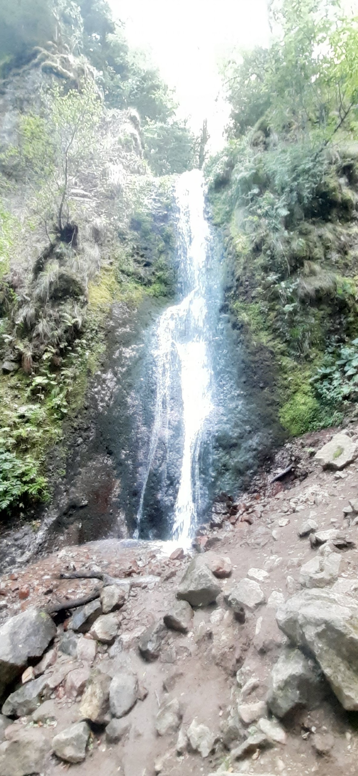 Photo n° 1 de l'avis de A. fait le 25/08/2022 à 11:47