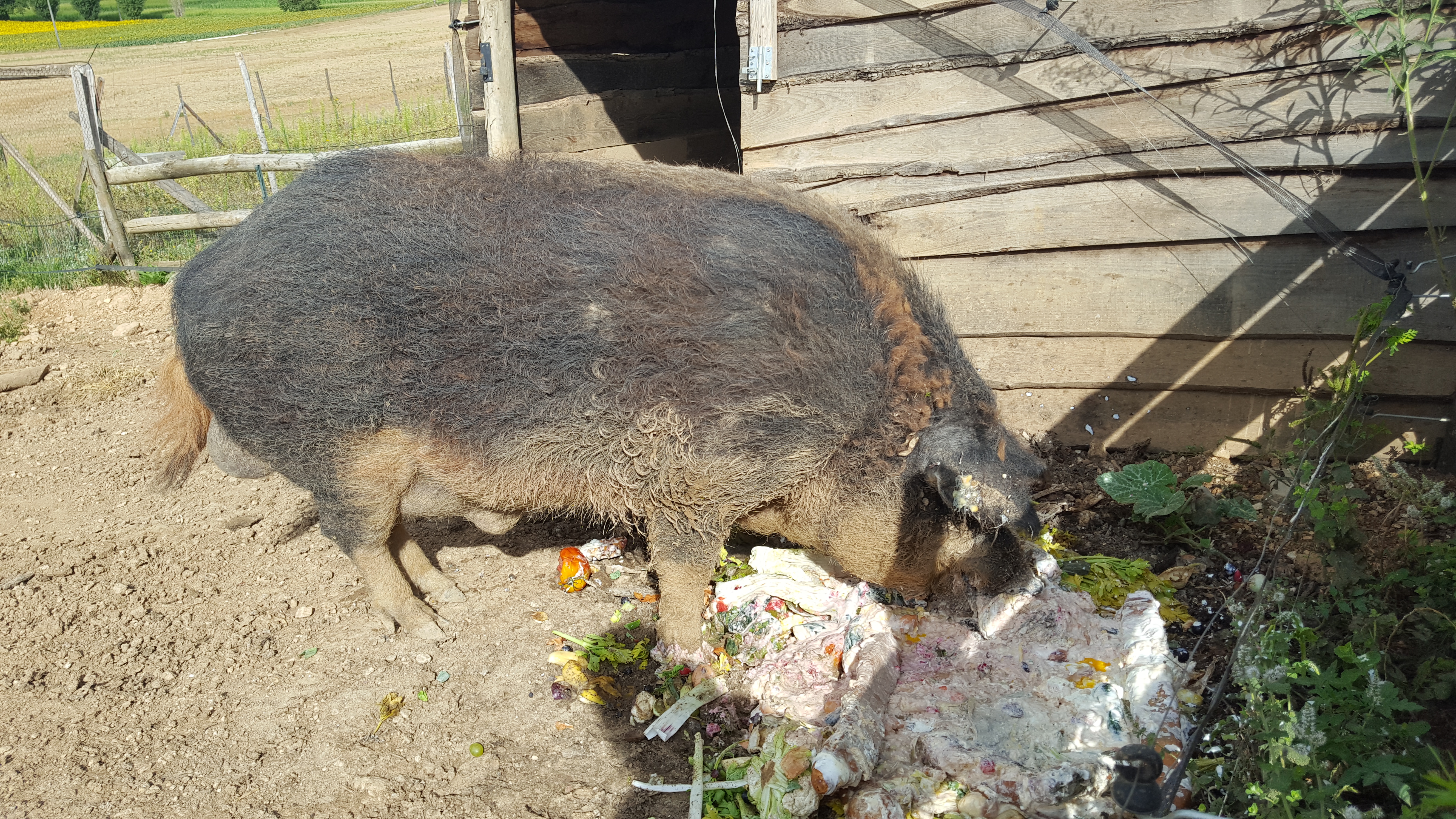 Photo n° 2 de l'avis de Marie.a fait le 28/08/2020 à 17:30