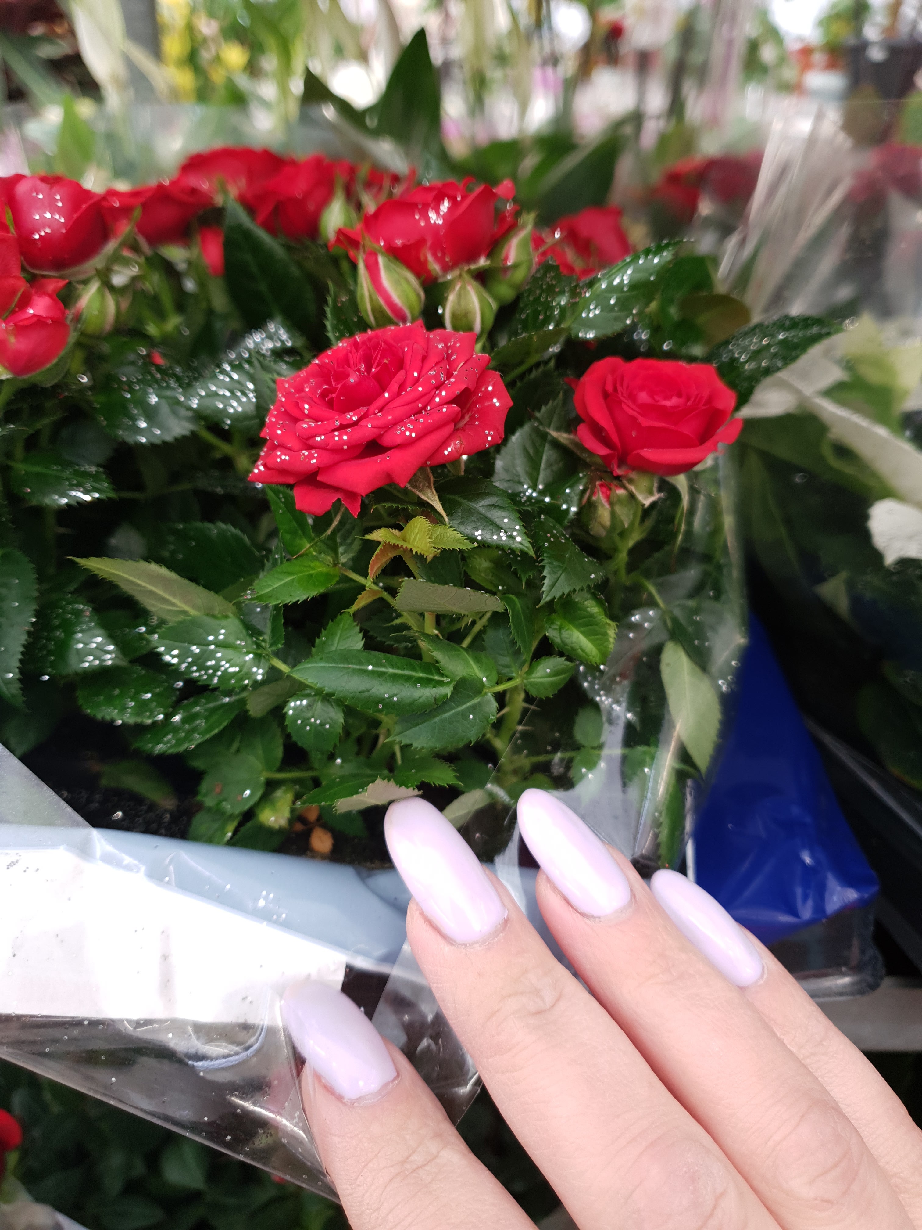 Photo n° 4 de l'avis de Anna.g fait le 11/12/2019 à 12:48