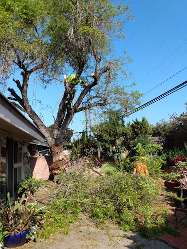 Charles Tree Service