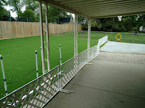 Purpose Driven K9 Dog Training - Photo 4 - Car repair in Indianapolis, IN, Indianapolis