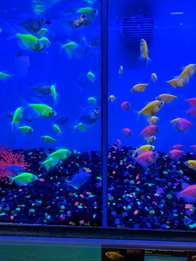 Pet Supply Store «Petco Animal Supplies», reviews and photos, 911 N Stratford Rd c, Moses Lake, WA 98837, USA