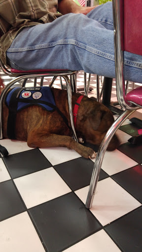 Discount Store «Dollar General», reviews and photos, 395 E Burleigh Blvd, Tavares, FL 32778, USA