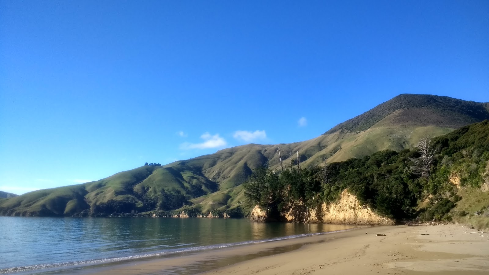 Titirangi Beach'in fotoğrafı çok temiz temizlik seviyesi ile