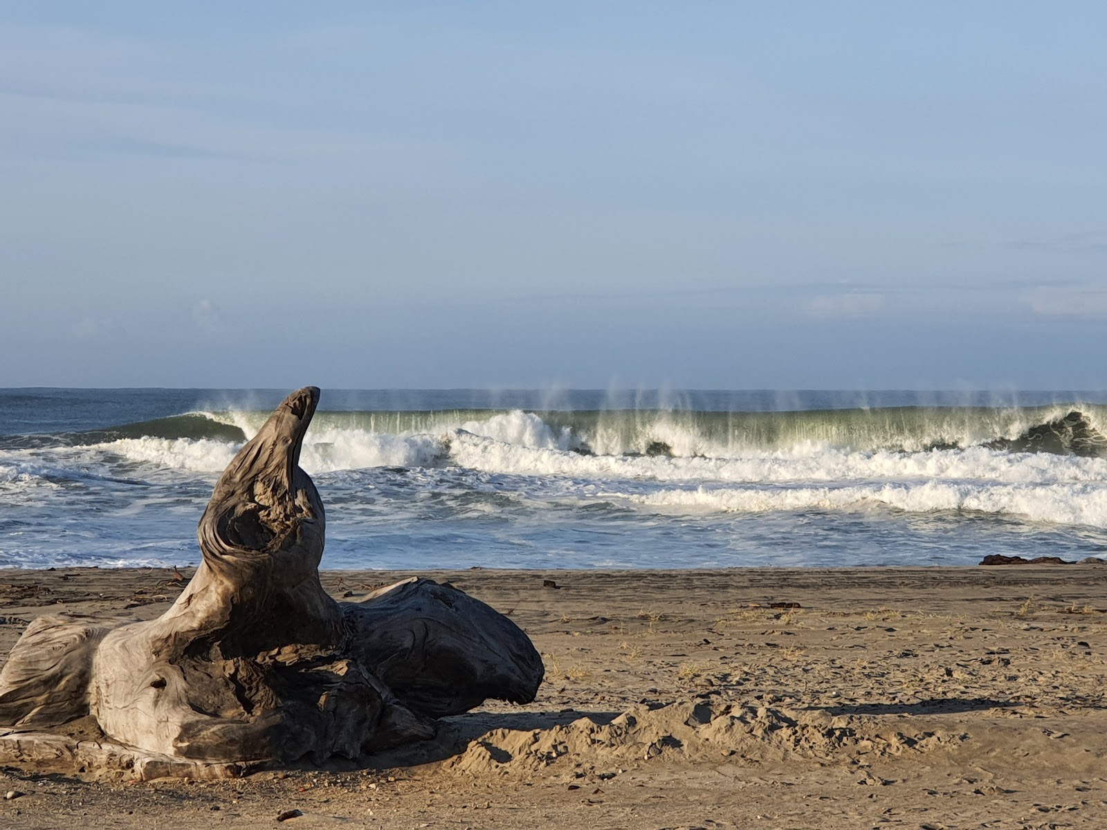 Zdjęcie Playa Los Naranjos z poziomem czystości wysoki