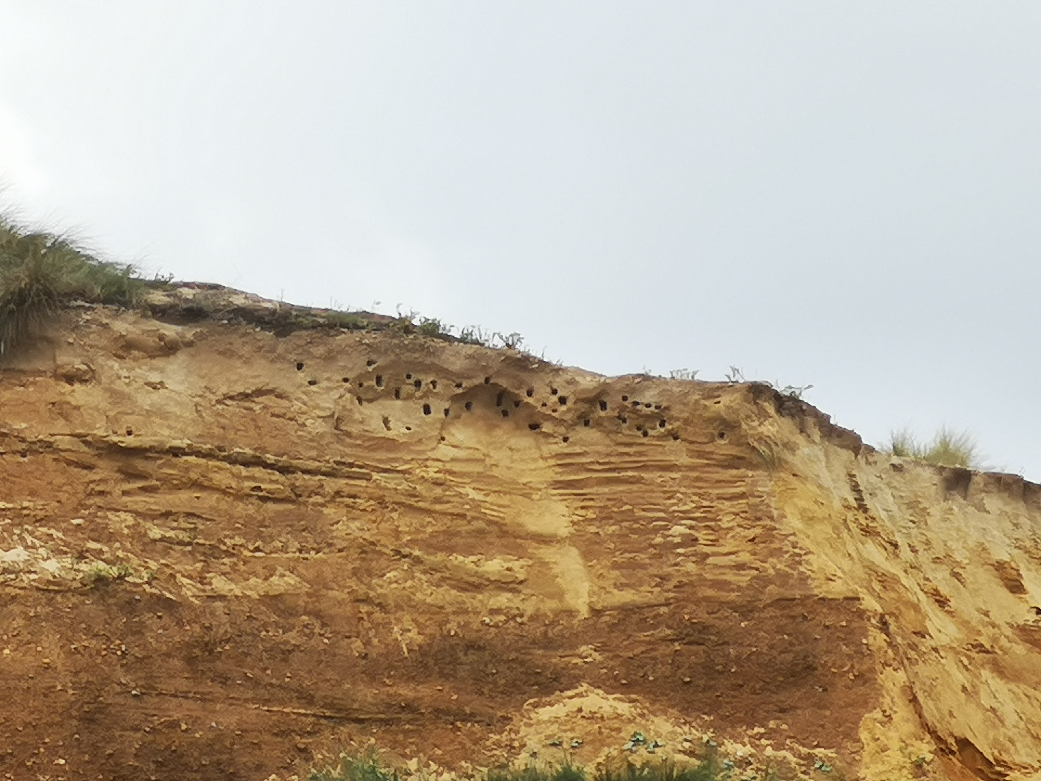 Photo n° 2 de l'avis de Ingrid. fait le 09/07/2019 à 06:02