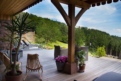 Gîtes Adelspach, Gîtes & Spa en Alsace à Aubure