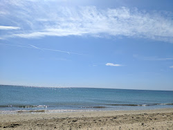 Photo de Playa de La Pixerota et le règlement
